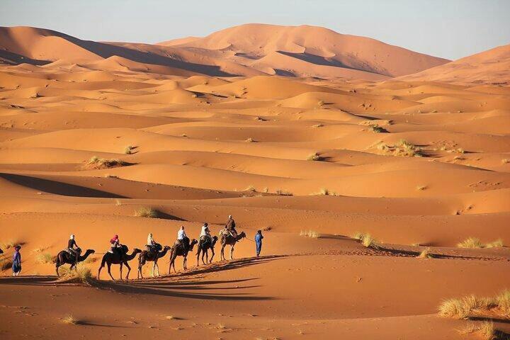 Best Luxury Camp Merzouga Extérieur photo